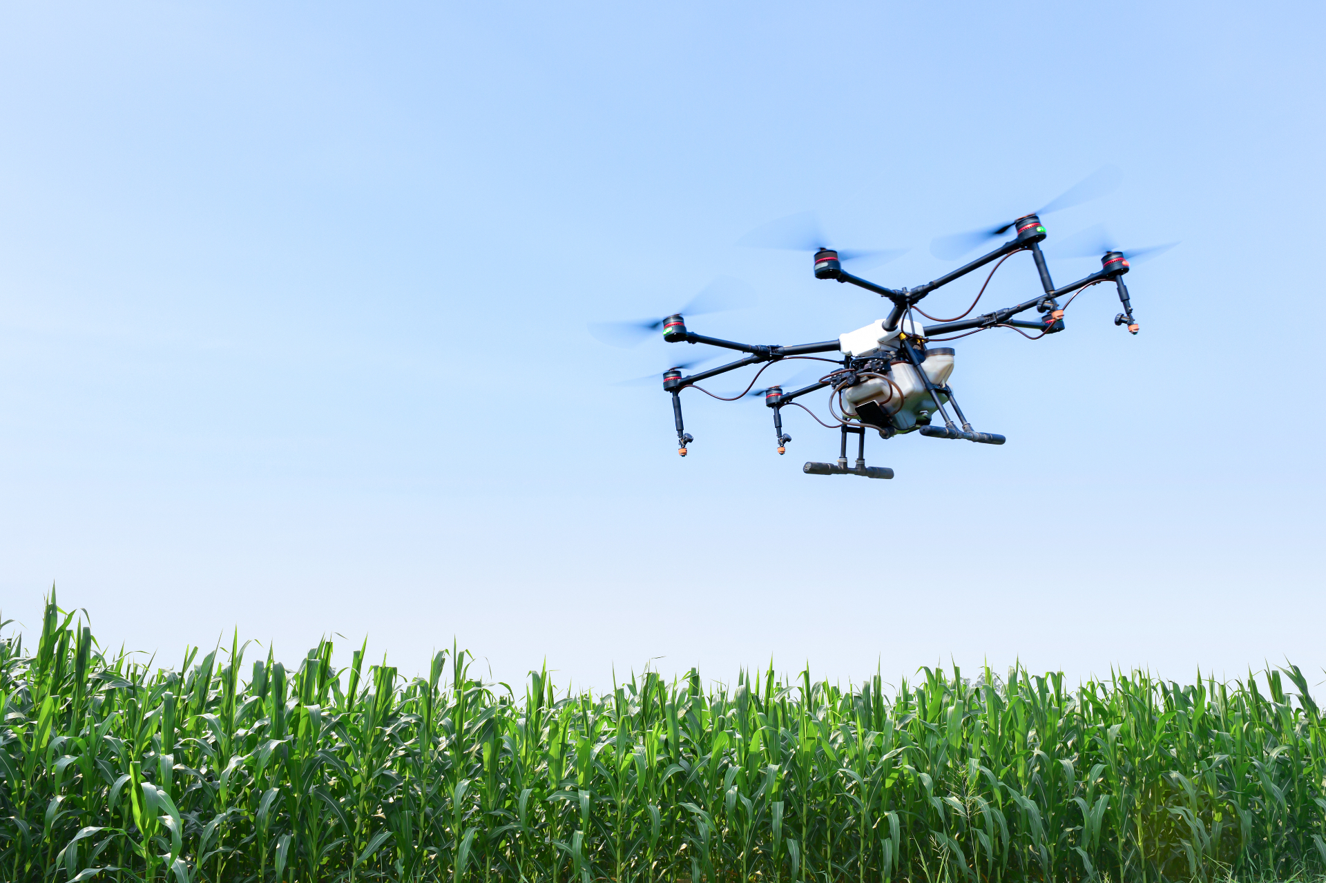 Agriculture